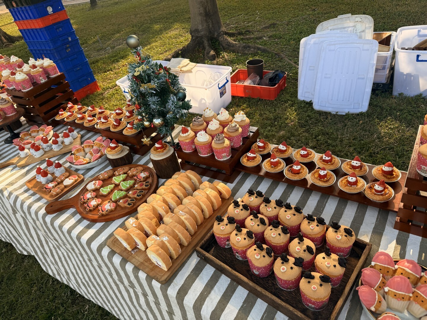 2025聖誕感恩草地音樂會圖片